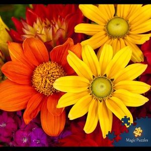 Meet your Posher, Edna